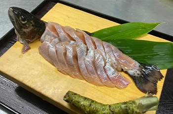 釣ってすぐだからこそ味わえる 刺身